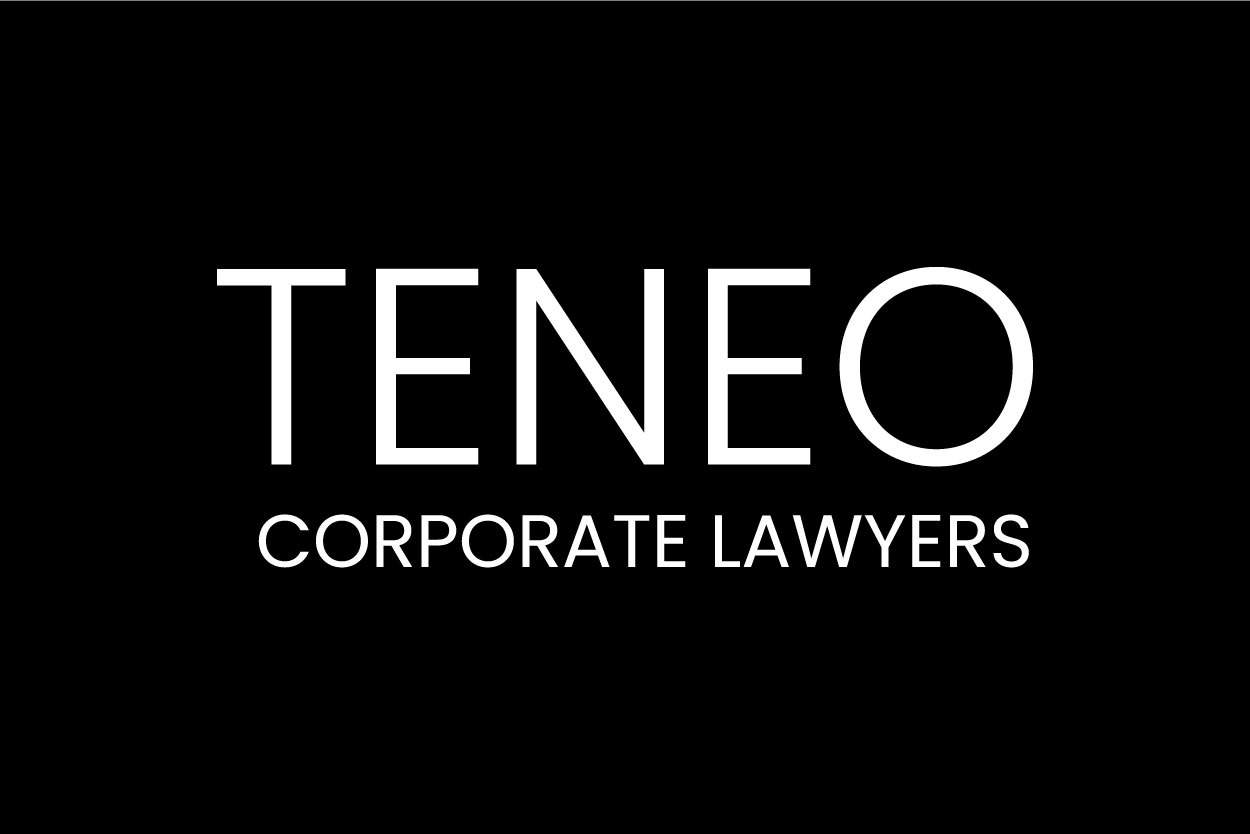 teneo corporate lawyers