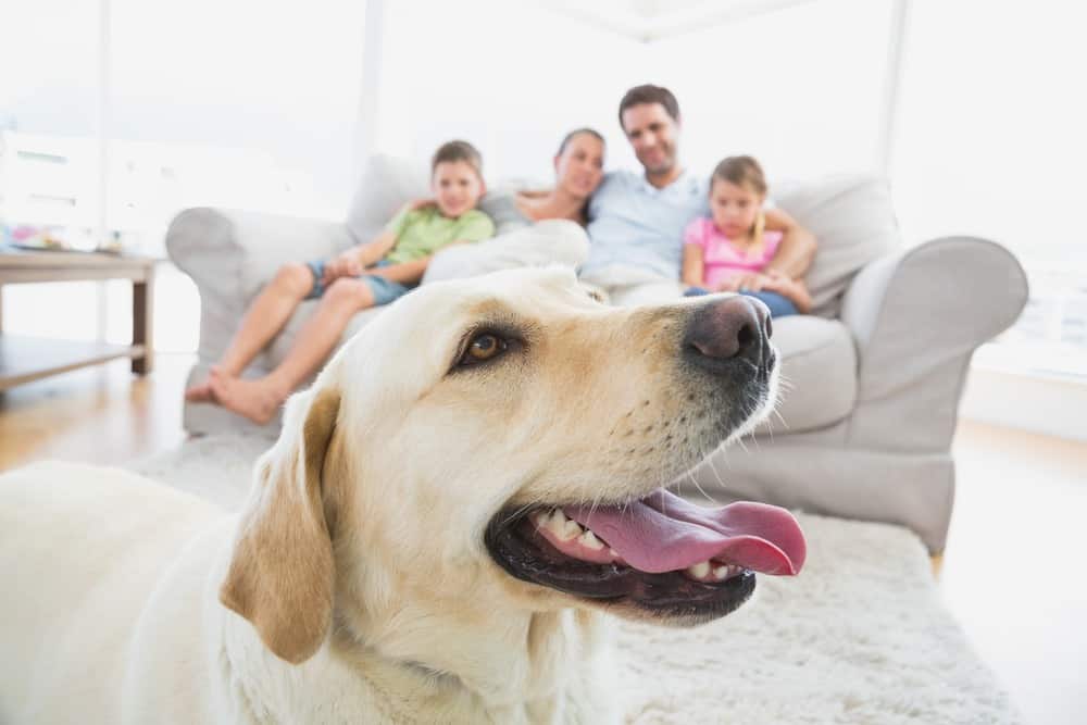 A family sitting on a couch with a dog